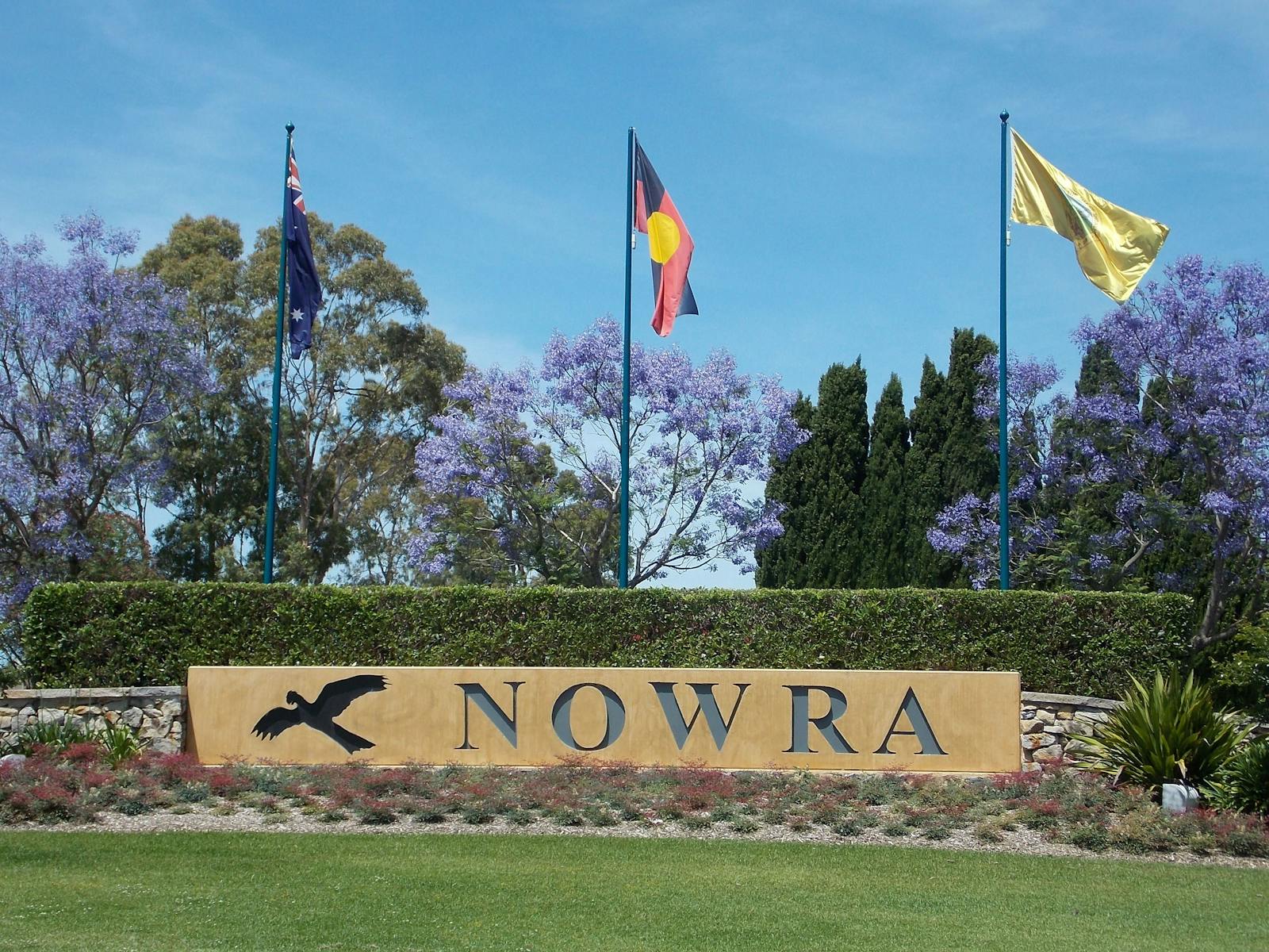 SC Web Digital Website Design Nowra 3